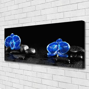 Obraz na płótnie Kwiat Lotosu na Kamieniach