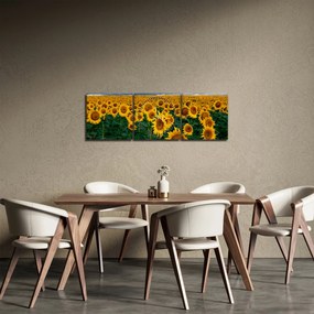 Obraz pola słoneczników (z zegarem) (90x30 cm)