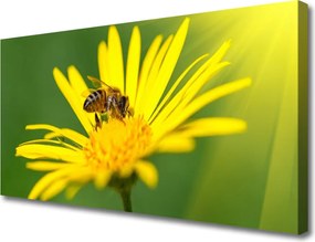 Obraz canvas Pracowita Pszczoła na Kwiatku