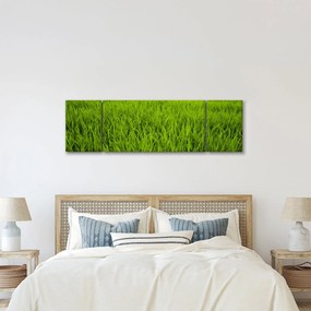 Obraz trawy (170x50 cm)