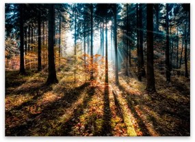 Obraz Styler Glasspik Autumn Sunset, 70x100 cm