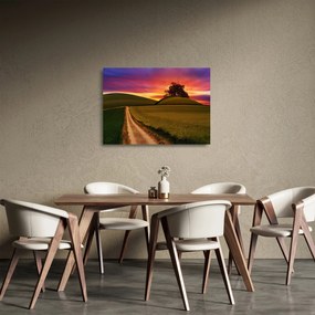 Obraz na szkle - pole i kolorowe niebo (70x50 cm)