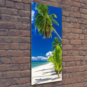 Foto obraz szkło akryl pionowy Tropikalna plaża