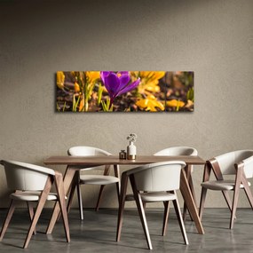 Obraz fioletowego kwiatu (170x50 cm)