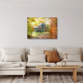 Obraz na szkle - staw (70x50 cm)