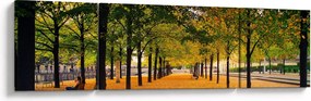 Obraz alei jesiennych drzew (170x50 cm)