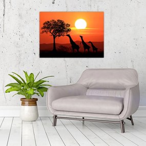 Obraz na szkle żyraf o zachodzie słońca (70x50 cm)