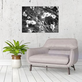 Obraz na szkle - Pajęczyna na łące (70x50 cm)