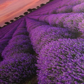 Obraz - Pole lawendy (125x70 cm)