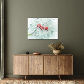 Obraz na szkle - mrożone owoce dzikiej róży (70x50 cm)