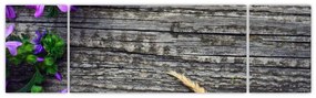 Obraz - kwiaty polne (170x50 cm)