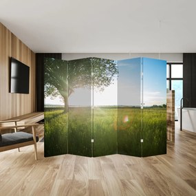 Parawan - Letnia łąka (210x170 cm)