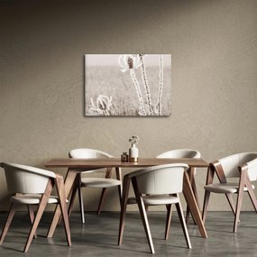 Obraz - Oset w zimie (70x50 cm)