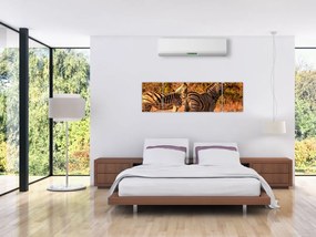 Obraz zebr (170x50 cm)
