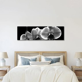 Obraz kwiatu orchidei (170x50 cm)