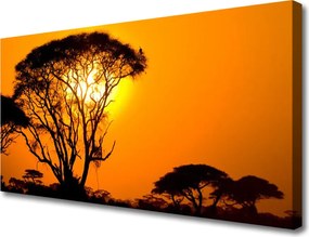 Zdjęcie na płótnie Słońce Przebijające przez Liście