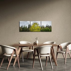 Obraz zielonego drzewa na środku pola (z zegarem) (90x30 cm)