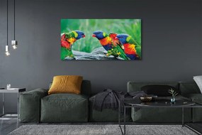Obraz na płótnie Kolorowe Papugi na Drzewie