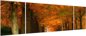 Obraz - Aleja drzew jesienią (170x50 cm)