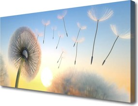 Obraz canvas Puszyste Parasolki Dmuchawca