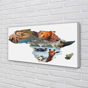 Duży obraz na płótnie Zebra, Żyrafa i Tygrys