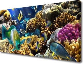 Obraz canvas na ścianę Kolorowe Życie Rafy Koralowej