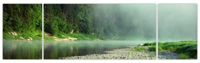 Obraz - rzeka przy lesie (170x50 cm)