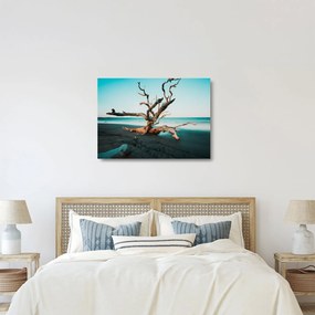 Obraz na szkle -  Wyłowiono na plaży (70x50 cm)