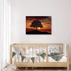 Obraz na szkle drzewa o zachodzie słońca (70x50 cm)