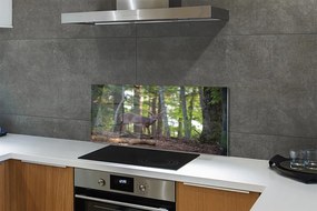 Panel nad Blat Kuchenny Spotkanie z Jeleniem w Puszczy