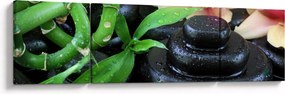 Obraz - Kamienie i orchidee (170x50 cm)
