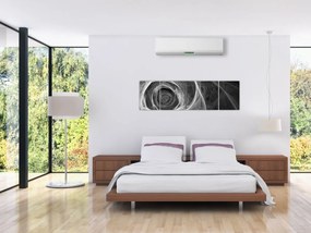 Obraz - Abstrakcyjna róża czarno-biała (170x50 cm)