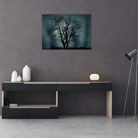 Obraz na szkle - drzew podczas zaćmienia (70x50 cm)
