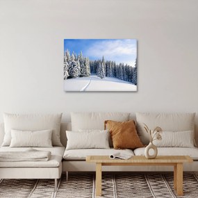 Obraz - Zima w lasach (70x50 cm)