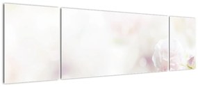 Obraz delikatnych kwiatów (170x50 cm)