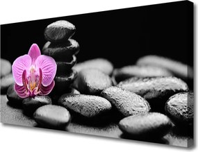 Obraz canvas na ścianę Harmonijna Kompozycja Zen