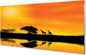 Panel szklany do Kuchni Żyrafy nad Jeziorem o Zachodzie Słońca