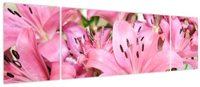 Obraz - Różowe lilie (170x50 cm)