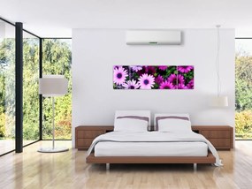 Obraz - Kwiaty (170x50 cm)