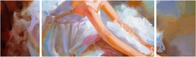 Obraz - Balerina (170x50 cm)