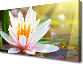 Obraz na płótnie Pełnia Letniego Rozkwitu