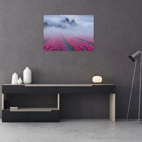 Obraz na szkle - Krajobraz z polami tulipanów (70x50 cm)