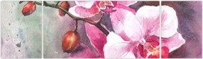 Obraz - Orchidee, akwarela (170x50 cm)