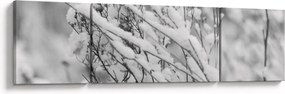 Obraz - Ośnieżone gałęzie (170x50 cm)
