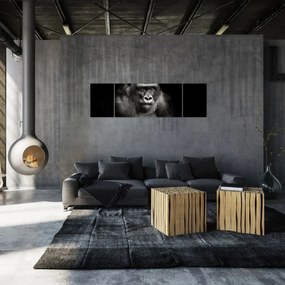Obraz - Goryl (170x50 cm)