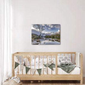 Obraz rzeki z drzewem (70x50 cm)
