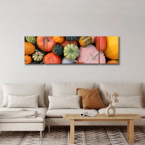 Obraz - Dynia (170x50 cm)
