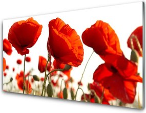 Szkło Dekoracyjne do Kuchni Barwne Pole Tulipanów