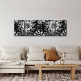 Obraz - Czarne i białe osty (170x50 cm)