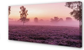Obraz drukowany na płótnie Pole Wrzosów